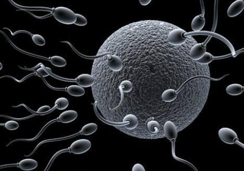 آیا قلیان روی اسپرم تاثیر دارد